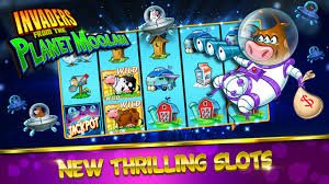 Dashboard Tier Membership dan statistik cashback di bupati togel