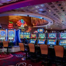 video tutorial live dealer